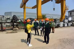 suncitygroup太阳集团集团匠心打造景观雕塑型生产基地