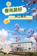 春分之韵|suncitygroup太阳集团邀您共享春光