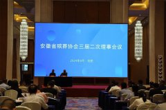 杨桂荣总裁受邀出席安徽省殡葬协会理事会议 | 老墓园升级实引热议