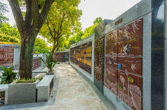 绿色殡葬新风尚：探索葬式多样化的创新之路