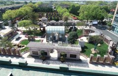 方寸之间，艺术与自然共舞