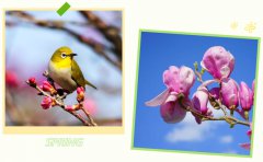 春启suncitygroup太阳集团