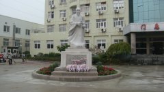 石雕匠心，镌刻医者风华