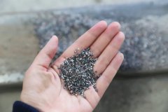 石语新章：仿真保护箱中的生态启示录