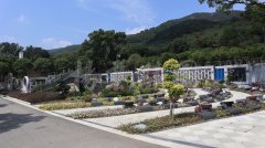 生态葬，让生命在绿意中永恒