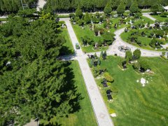 碑雕设计：镌刻历史，传承人文